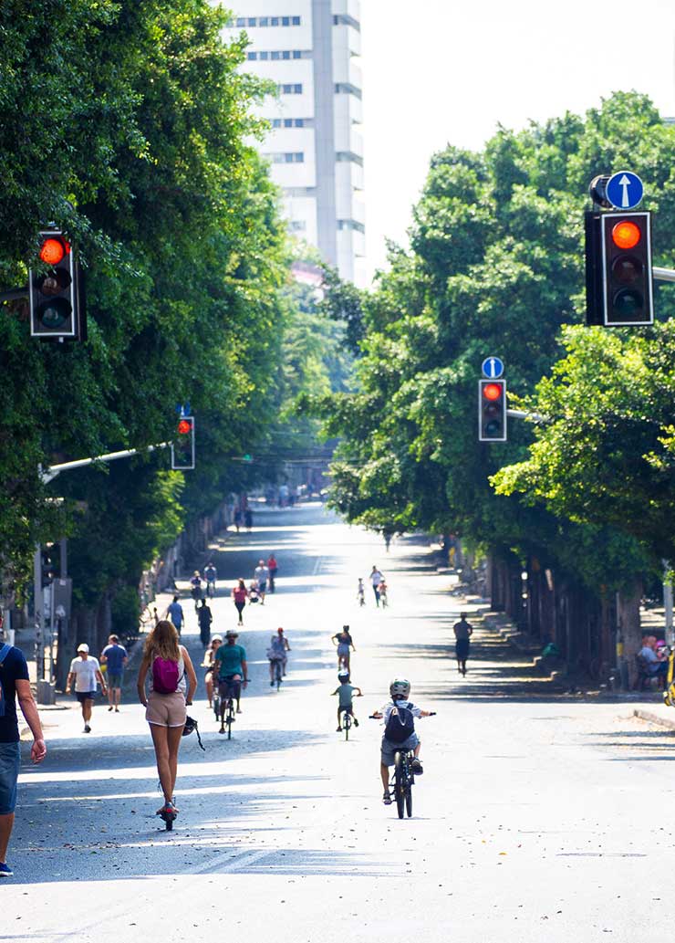 Strada alberata che rappresenta la obilità urbana