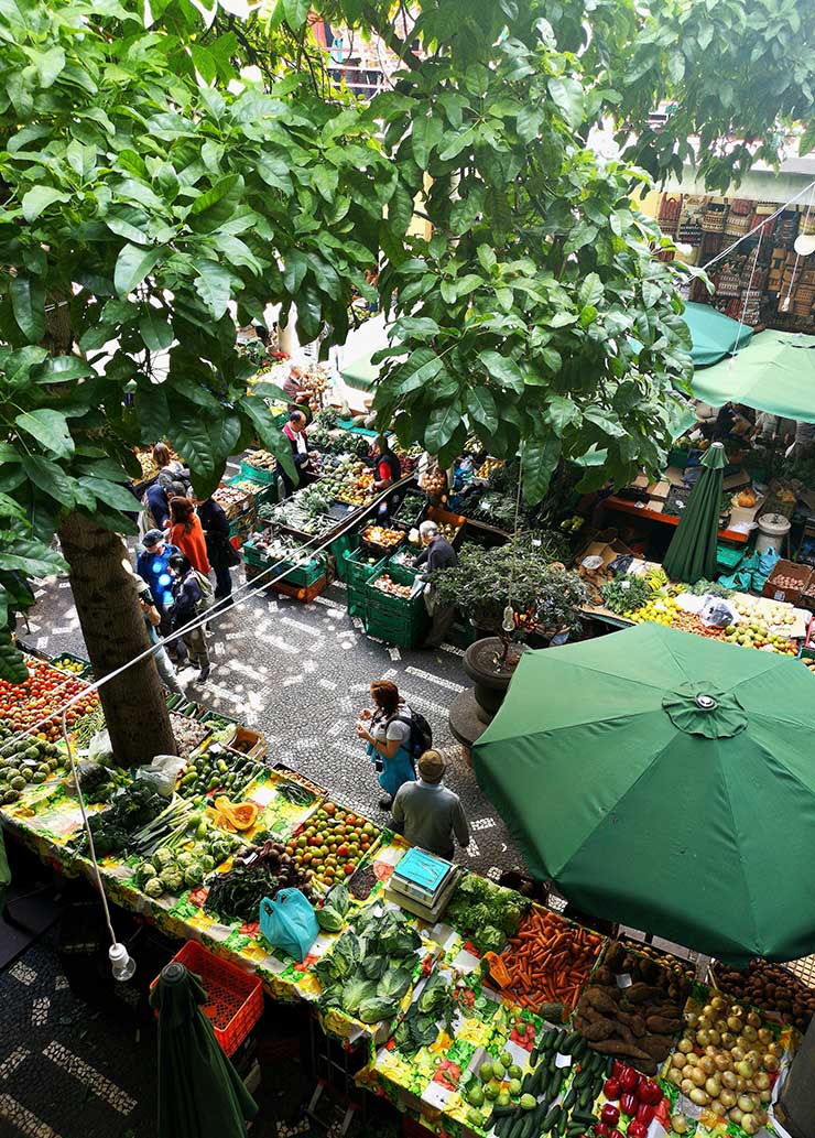 Strada alberata che rappresenta la obilità urbana